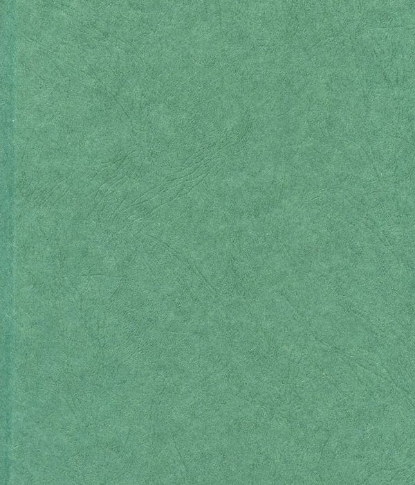 Abstract mint light rays representing calm rhythm